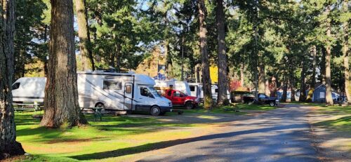 RVs in a row at Salmon Point RV Resort