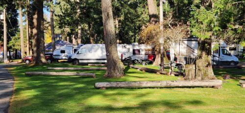RVs Park at Salmon Point RV Resort